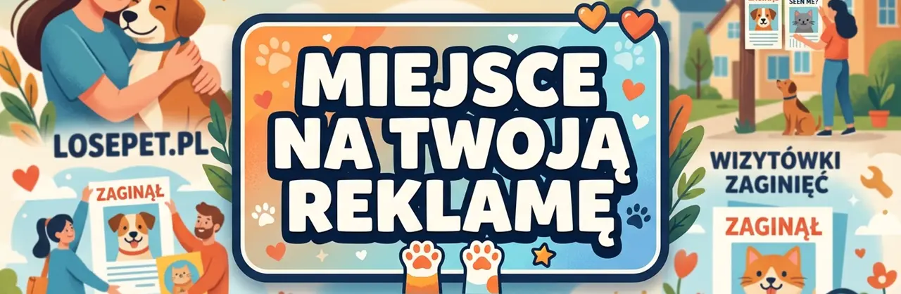 Miejsce na Twoją reklamę